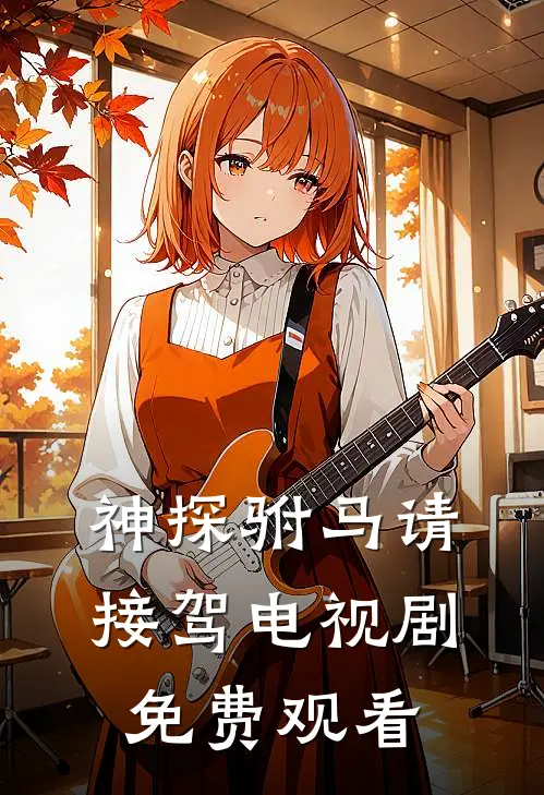 神探驸马请接驾电视剧免费观看