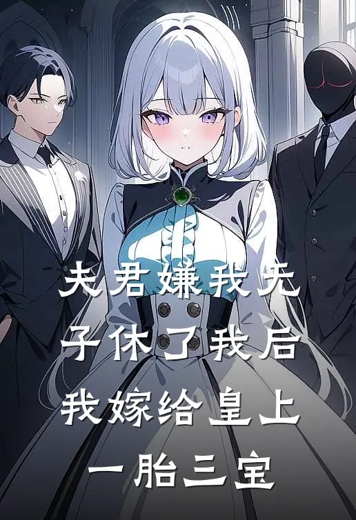 夫君嫌我无子休了我后，我嫁给皇上一胎三宝