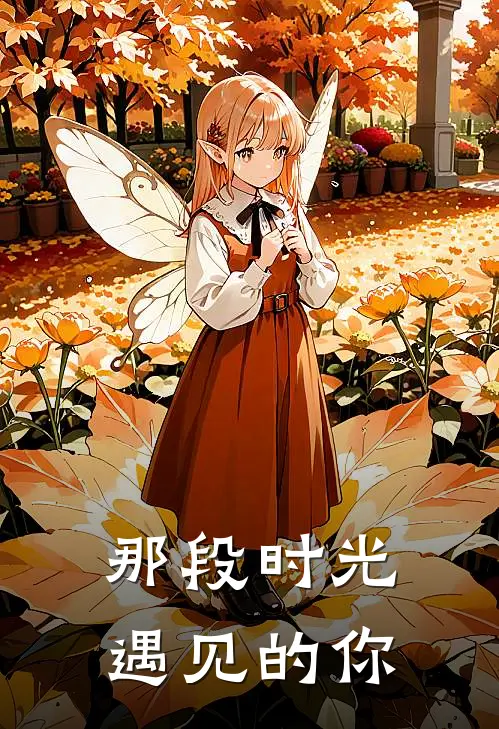 那段时光遇见的你